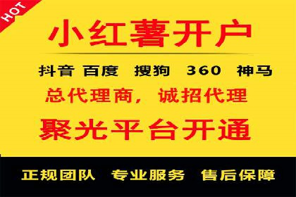 竞价广告案例分析：品牌成功之道